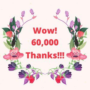 Wow 60,000 Followers
